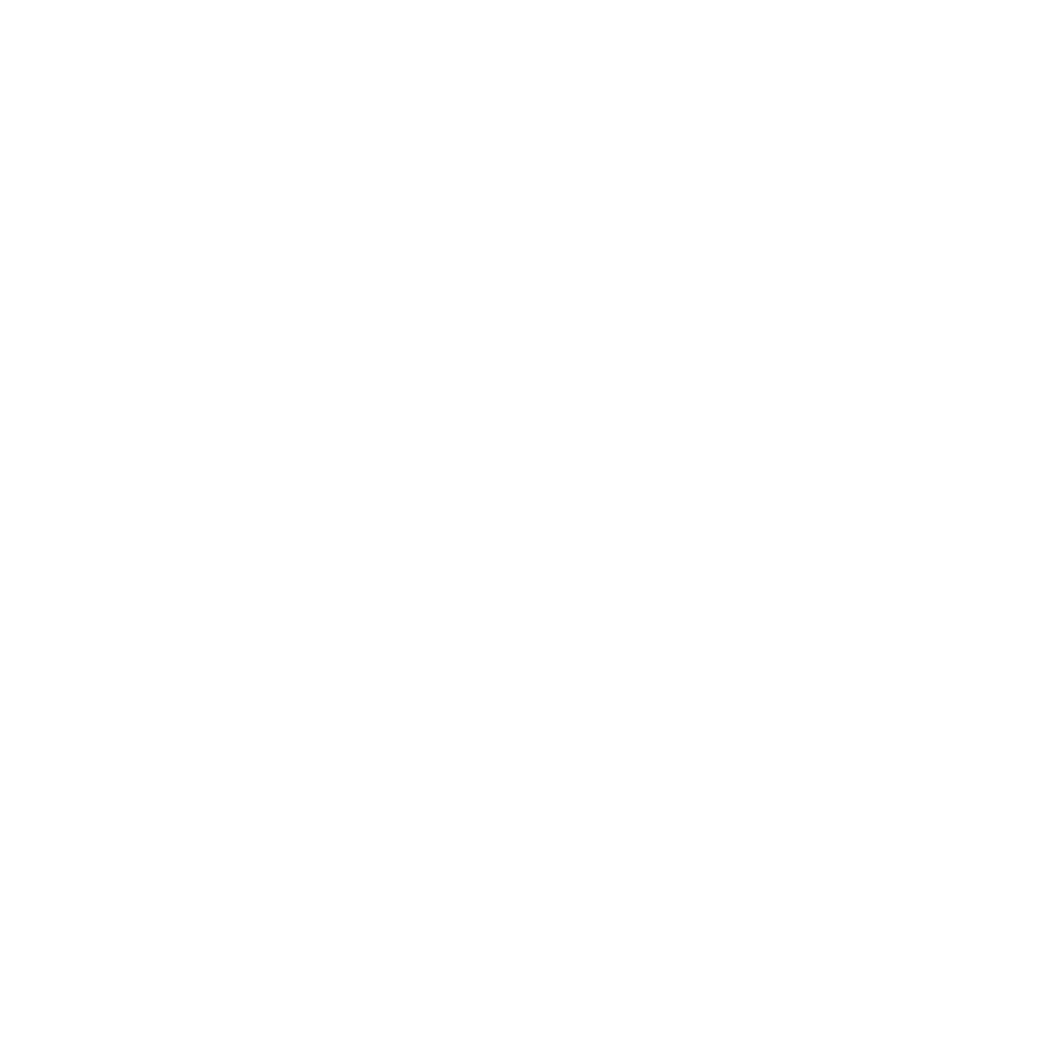 RUST RALLY